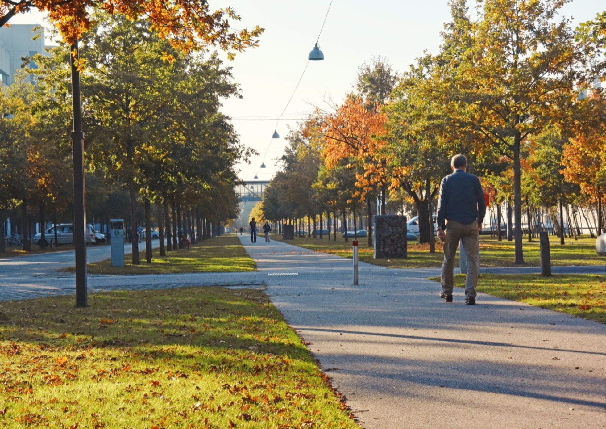 Park campus Ardoyen Gent